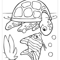 Perfect Turtle Coloring Pages For Children Turtles Kids Easy Color Animals