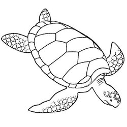 Print Download Turtle Coloring Pages As The Educational Tool
