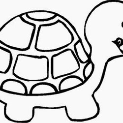 Superior Coloring Pages Turtles Free Printable Turtle Color Colouring Sheets Sheet Sea Book Print Dogs