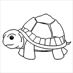 Turtle Coloring Pages Tortoise Picture Of Page
