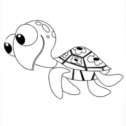 Sterling Coloring Pages Turtles Free Printable Turtle