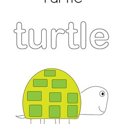 Turtle Coloring Page Twisty Noodle Print Built California Worksheet