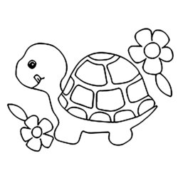 Capital Printable Coloring Pages Turtle For Children Turtles