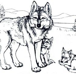 Coloring Pages Of Wolves For Kids
