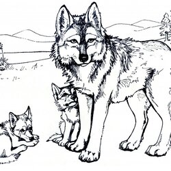 Wizard Free Printable Wolf Coloring Pages For Kids