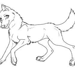 Marvelous Free Printable Wolf Coloring Pages For Kids Animal Place Page Of