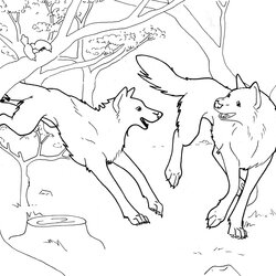 Splendid Free Printable Wolf Coloring Pages For Kids Animal Place Page Image