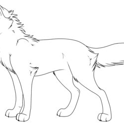Sublime Free Printable Wolf Coloring Pages For Kids Wolfs Of
