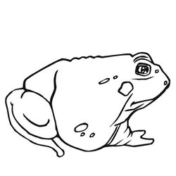 Perfect Free Printable Toad Coloring Pages For Kids