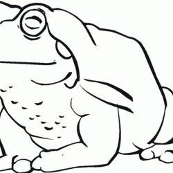 Sublime Free Printable Toad Coloring Pages For Kids Cartoon Toads Outline Color American Library Categories