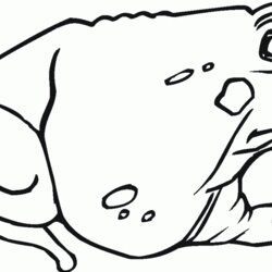 Preeminent Toad Coloring Pages Home Popular