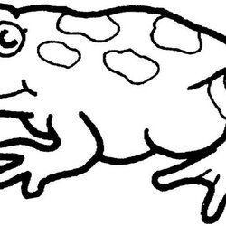 Free Toad Colouring Pages For Kids Animal Corner Amphibian Frogs Downloaded