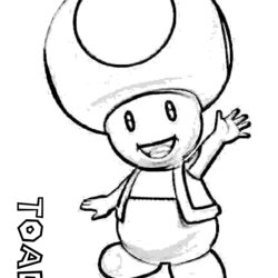 High Quality Toad Coloring Pages To Download And Print For Free Mario Super Bros Kart Characters Draw