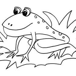Superb Printable Toad Coloring Pages For Kids