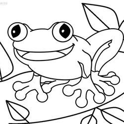 Swell Printable Toad Coloring Pages For Kids Frog Print Drawing Cute Cartoon Animals Library Popular Animal