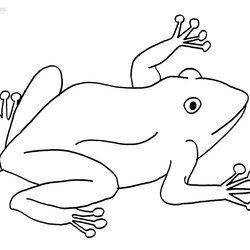 Fine Printable Toad Coloring Pages For Kids