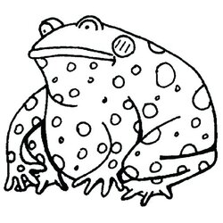 Eminent Toad Coloring Pages At Free Printable Print