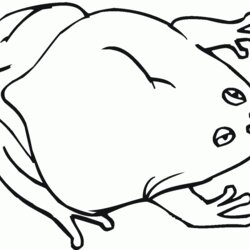 Capital Toad Coloring Page Download Animal Creative Art Of Toads Pages Printable Categories