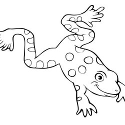 Wonderful Cute Toad Coloring Pages To Print Home Frog Frogs Printable Jumping Flying Animals Template Color