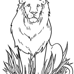 Admirable Animal Coloring Pages To Color And Print Inter Press