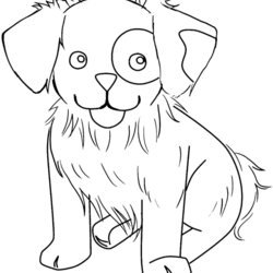 Easy Animal Coloring Pages For Kids At Free Printable Color Print