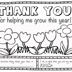 Best Free Teacher Coloring Pages Home Appreciation Printable Week Popular