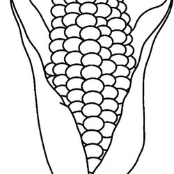 Worthy Candy Corn Coloring Page At Free Printable Cob Stalk Pages Drawing Sheet