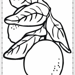 Wonderful Candy Corn Coloring Page Free Printable