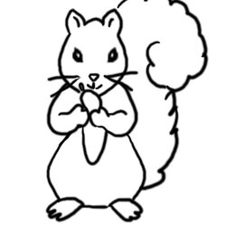 Free Printable Squirrel Coloring Pages For Kids Animal Place Print Activities Squirrels Autumn Templates