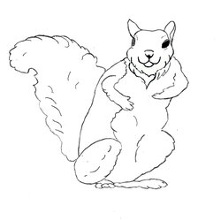 Brilliant Free Printable Squirrel Coloring Pages For Kids Print Flying Preschool Monkey Library Fox Images