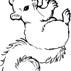 Matchless Kids Fun Coloring Pages Of Squirrel Width