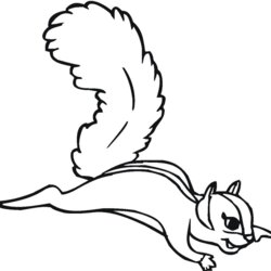 Fine Free Printable Squirrel Coloring Pages For Kids Flying Color Print Cartoon Drawing Squirrels Sugar Cute