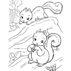 Top Free Printable Squirrel Coloring Pages Online Child Interesting To Keep Your