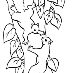 Spiffing Squirrels In Tree Color Page Coloring Pages Squirrel Printable Animal Kids Sheets Found