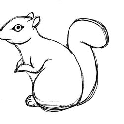 Free Printable Squirrel Coloring Pages For Kids Animal Place Drawing Easy Line Outline Drawings Flying Funny