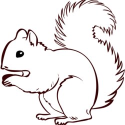 The Highest Quality Squirrel Coloring Page Free Printable Pages Squirrels Outline Colouring Print Animal