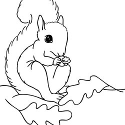 Peerless Free Printable Squirrel Coloring Pages For Kids Animal Place Preschool Color Squirrels Print Fall