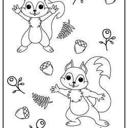 Superior Printable Squirrels Coloring Pages Updated