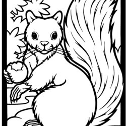 Splendid Printable Squirrel Coloring Page Word Searches