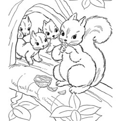 Eminent Coloring Pages Of Squirrels