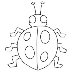 Insects Coloring Pages Gift Of Curiosity Page