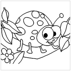 Excellent Beautiful Coloring Pages Insects In Insect Bug For Children