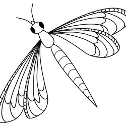 Insect Coloring Pages Best For Kids Flying