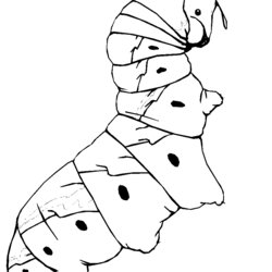 Tremendous Kids Fun Coloring Pages Of Insects Insect