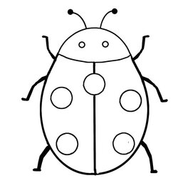 Printable Pictures Of Insects Coloring Insect Pages Attribution Forget Link Don