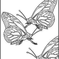 Superior Insect Images For Kids Coloring Home Printable Pages Insects Popular Library Comments