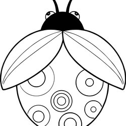 Matchless Insect Coloring Page