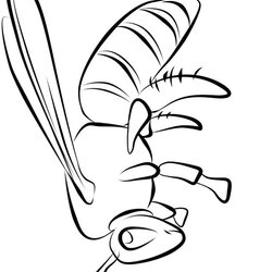 Great Insects Coloring Page Kids Pages Print