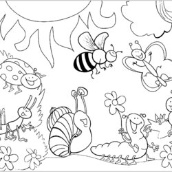High Quality Insect Coloring Pages For Kids Children Insects