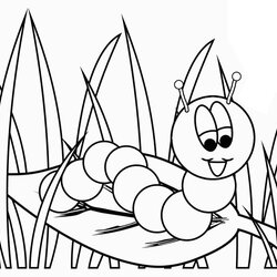 Chenille Insects Kids Coloring Pages Simple For Children